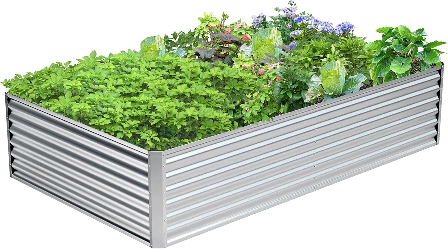 8x4x2ft Galvanized Metal Raised Garden Bed for Plants, Vegetables
8x4x2ft Galvanized Metal Raised Garden Bed for Plants, Vegetables