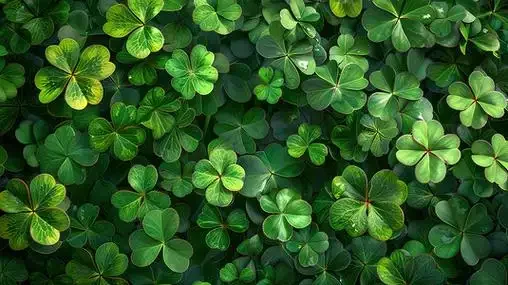 RC AXIAL SCX10 МЕТАЛЛИЧЕСКАЯ ШАССИ РАМА 313 ММ КОЛЕСНАЯ БАЗОВАЯ С ПЕРЕДНЯЯ КОРОБКОЙ ПЕРЕДАЧА ДЛЯ 1/10 JEEP WRANGLER Оболочка для лодки
RC AXIAL SCX10 МЕТАЛЛИЧЕСКАЯ ШАССИ РАМА 313 ММ КОЛЕСНАЯ БАЗОВАЯ С ПЕРЕДНЯЯ КОРОБКОЙ ПЕРЕДАЧА ДЛЯ 1/10 JEEP WRANGLER Оболочка для лодки