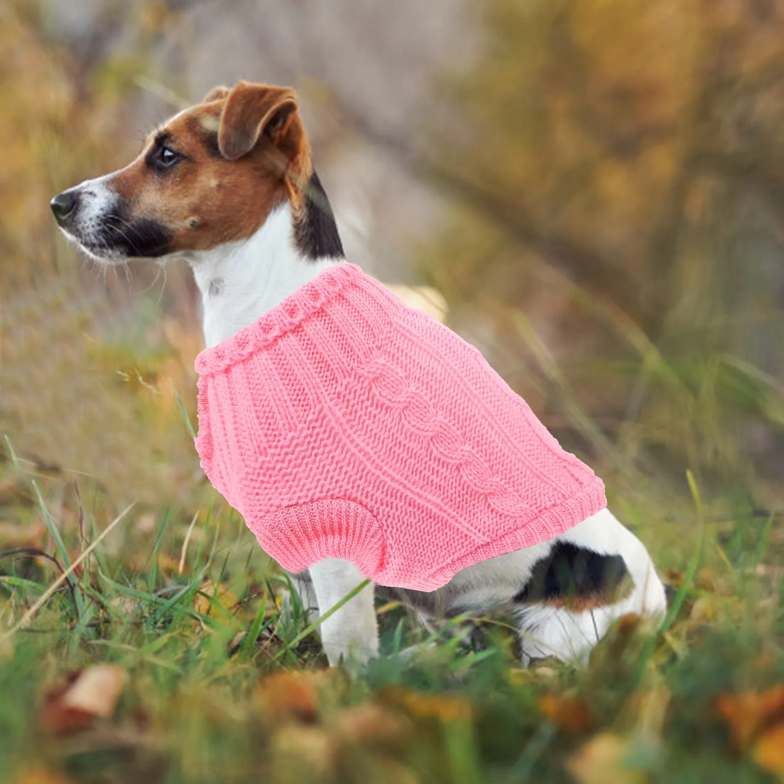 Pet Sweater Small Dog Clothes Puppy Winter Clothes Warm Thick Soft Wear-Resistant Dog Sweater For Cold Weather Outdoor
Pet Sweater Small Dog Clothes Puppy Winter Clothes Warm Thick Soft Wear-Resistant Dog Sweater For Cold Weather Outdoor