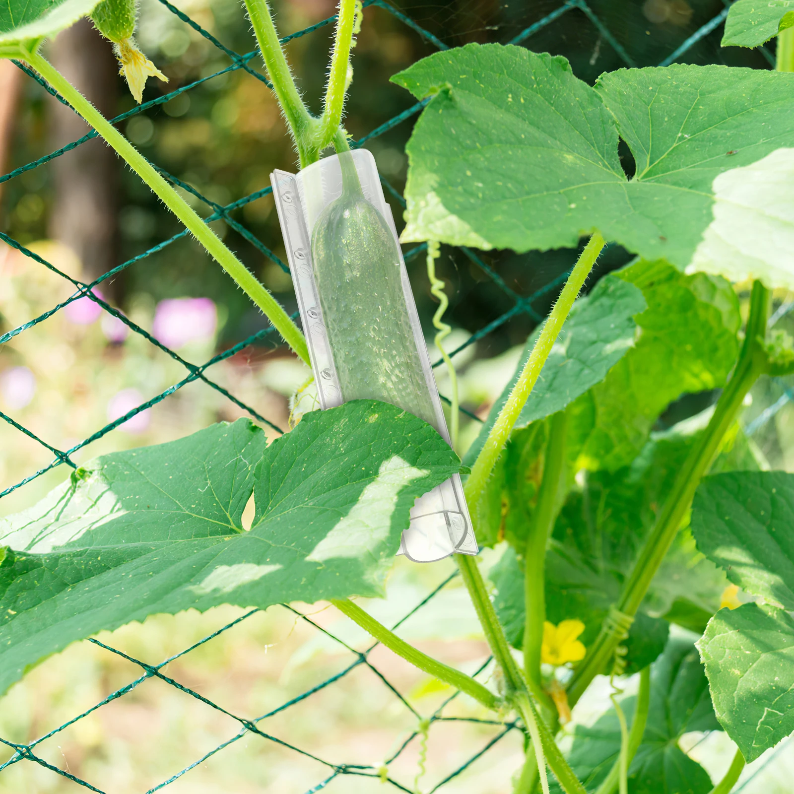 4pcs Vegetable Mold Fruit Shaping Molds High Grade Plastic Safe Garden Yard Planting Tools Cucumber Growth Accessories
4pcs Vegetable Mold Fruit Shaping Molds High Grade Plastic Safe Garden Yard Planting Tools Cucumber Growth Accessories