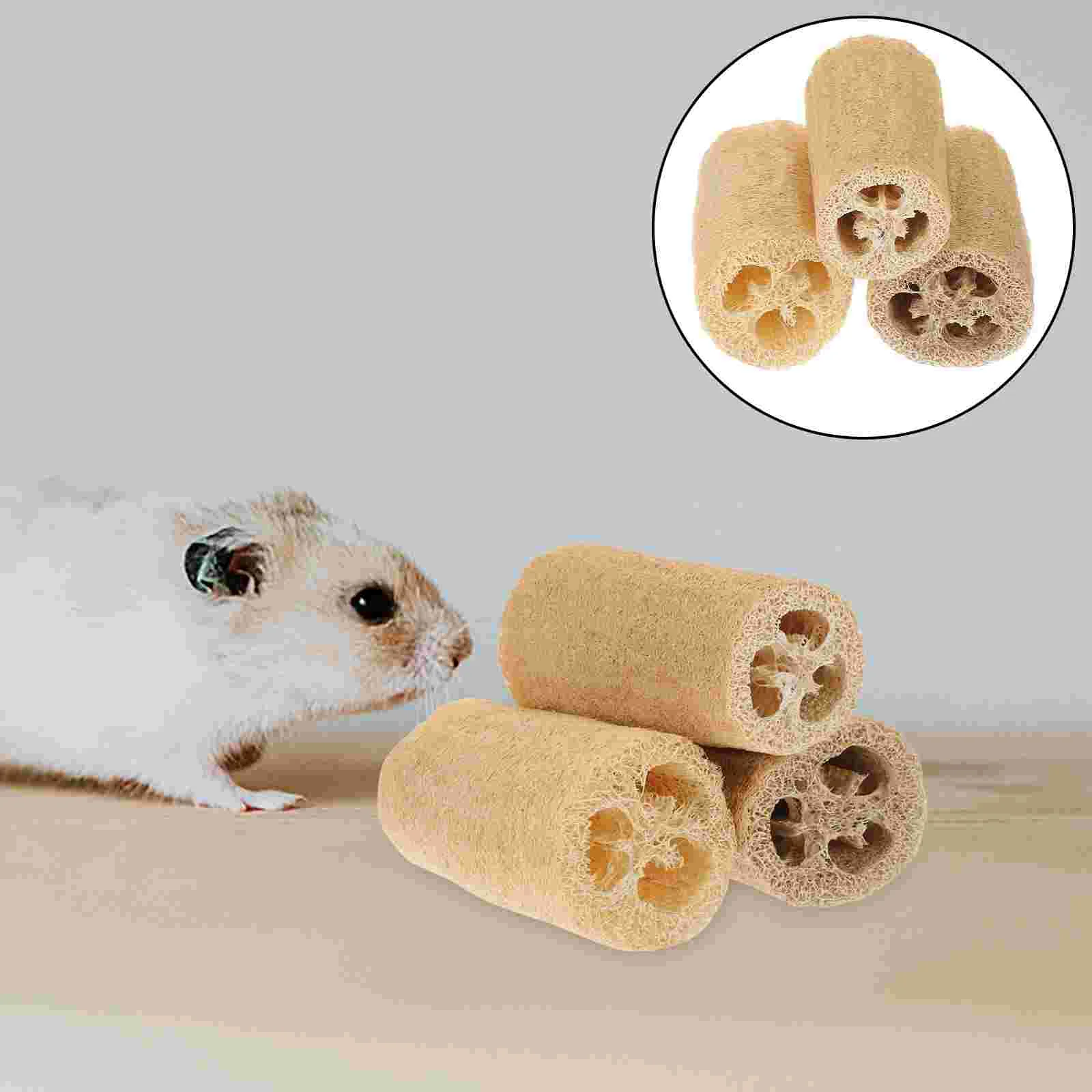 3 Pcs Loofah Molar Tablets Hamster Toys Playthings Supplies Chinchilla Grinding Chew Sticks Accessories Hammock
3 Pcs Loofah Molar Tablets Hamster Toys Playthings Supplies Chinchilla Grinding Chew Sticks Accessories Hammock