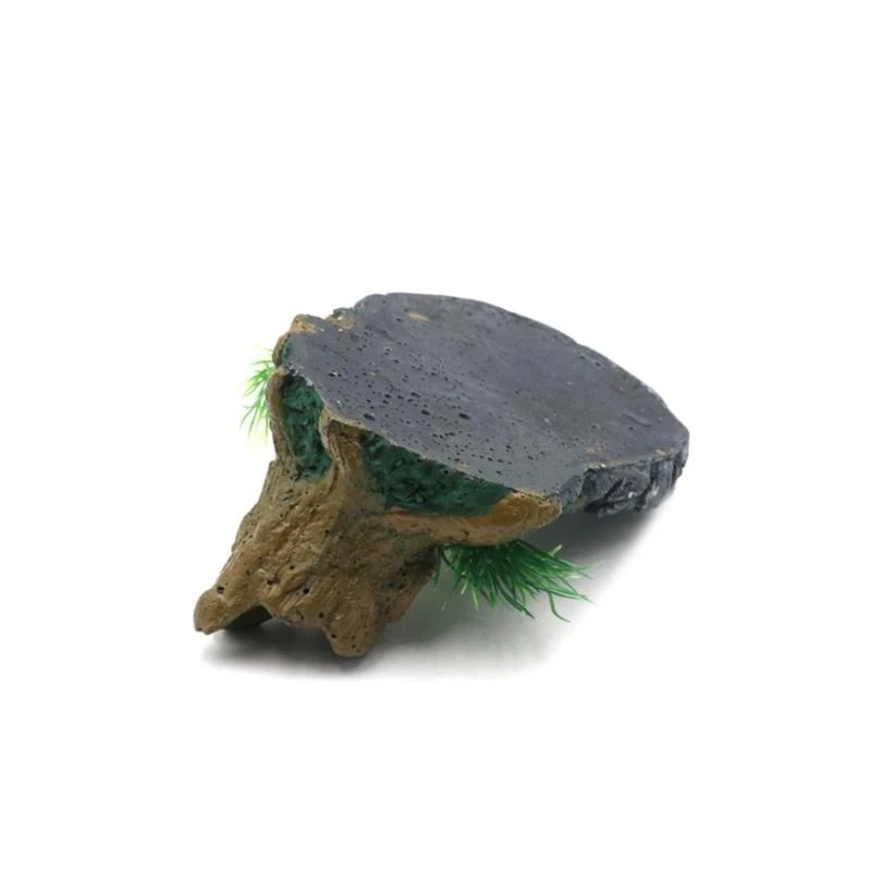 Pet Amphibians Drinking Basins Aquariums Landscaping Decoration Pet Dishes for Secure Feeding
Pet Amphibians Drinking Basins Aquariums Landscaping Decoration Pet Dishes for Secure Feeding
