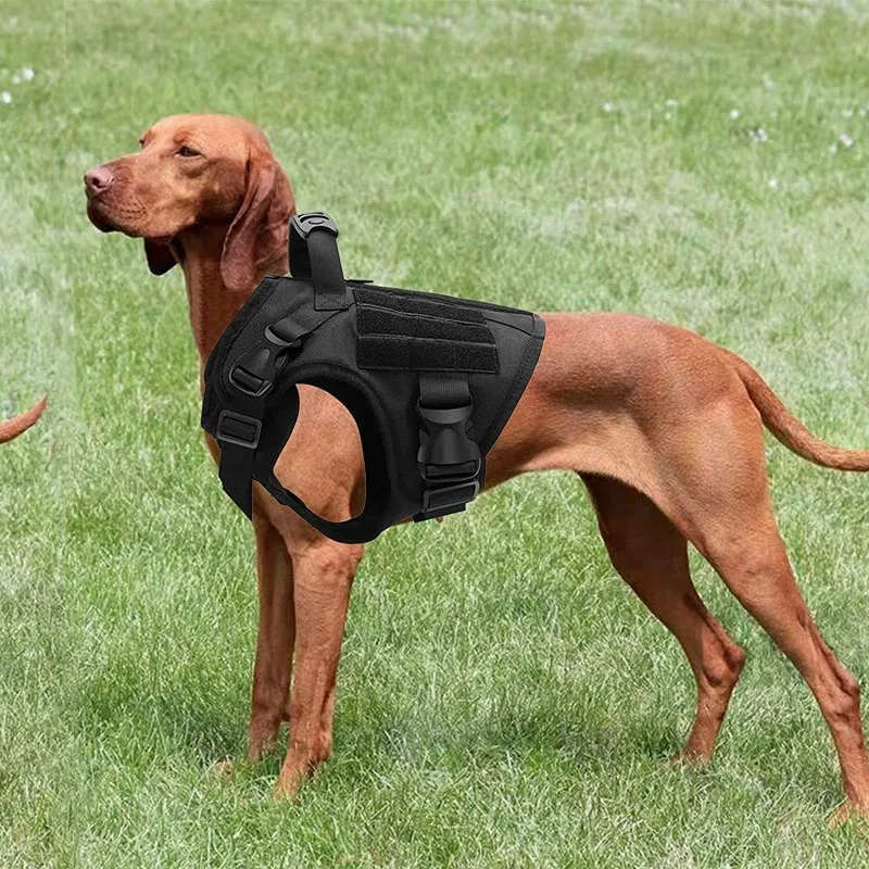 Heavy Tactical Dog Harness Suitable For Large Dogs Adjustable Pet Harness Service Easy To Control Training Black Dog Collar Set
Heavy Tactical Dog Harness Suitable For Large Dogs Adjustable Pet Harness Service Easy To Control Training Black Dog Collar Set