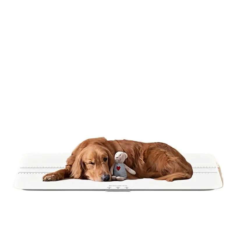 Small white scale pet special scale large weigher
Small white scale pet special scale large weigher