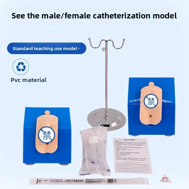 Premium Dress Male, Female Catheterization Model, Vulvar Care Simulated Catheterization Training With Waterproof Shorts
Premium Dress Male, Female Catheterization Model, Vulvar Care Simulated Catheterization Training With Waterproof Shorts