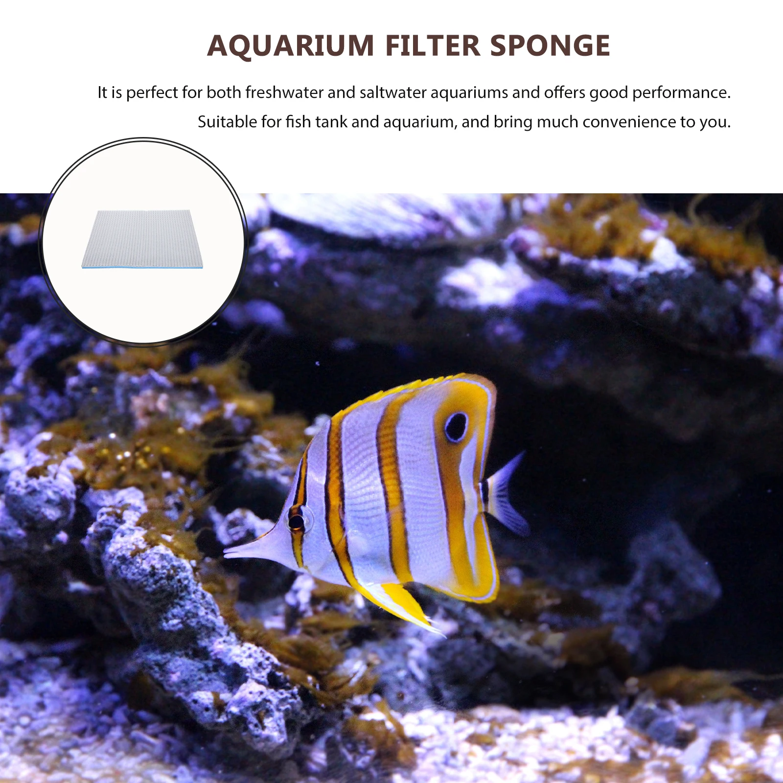 Glue-free Cotton Purified Sponge Pump Filter Media Pad Fish Tank Prefilter for Aquarium Filters
Glue-free Cotton Purified Sponge Pump Filter Media Pad Fish Tank Prefilter for Aquarium Filters