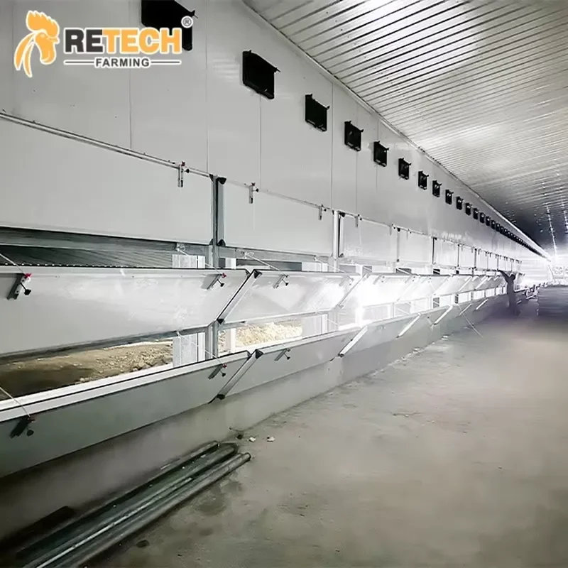 4 Tier Automatic Layer Cage for Chicken Farm for Retech Farming Hot Dip Galvanized Steel 1 Year Warranty
4 Tier Automatic Layer Cage for Chicken Farm for Retech Farming Hot Dip Galvanized Steel 1 Year Warranty