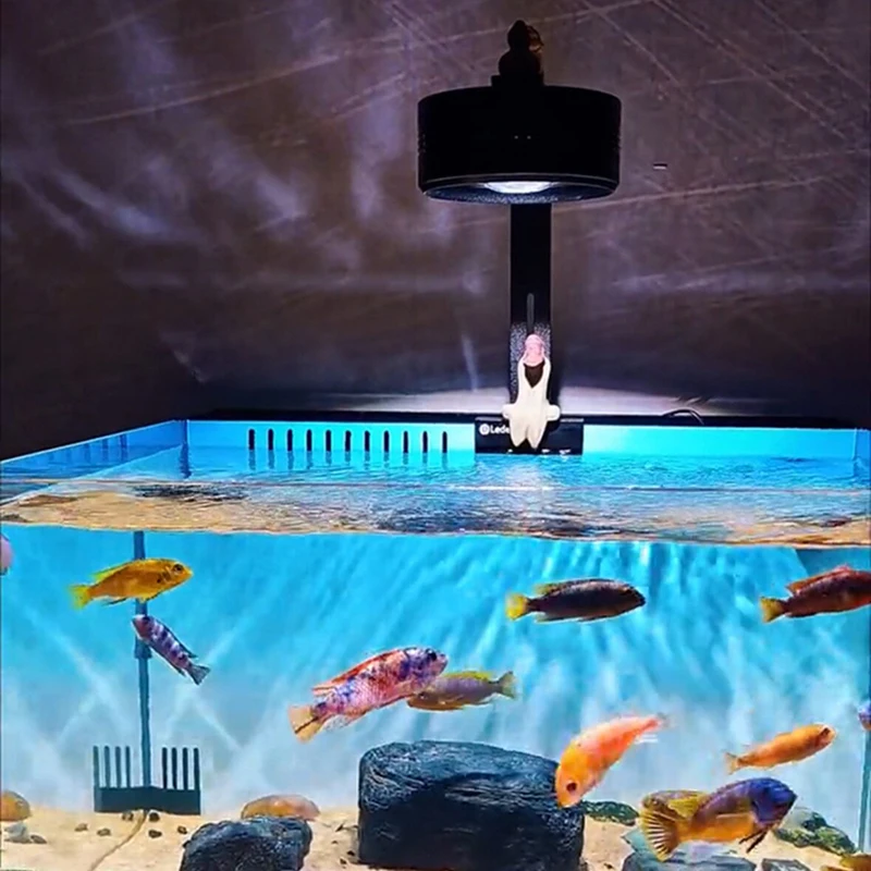 Fish Tank Light Plant Growth Aquarium LED Light Germicidal Reef Tank Lamp Fish Supplies Specialty Aquarium Lighting spotlights
Fish Tank Light Plant Growth Aquarium LED Light Germicidal Reef Tank Lamp Fish Supplies Specialty Aquarium Lighting spotlights