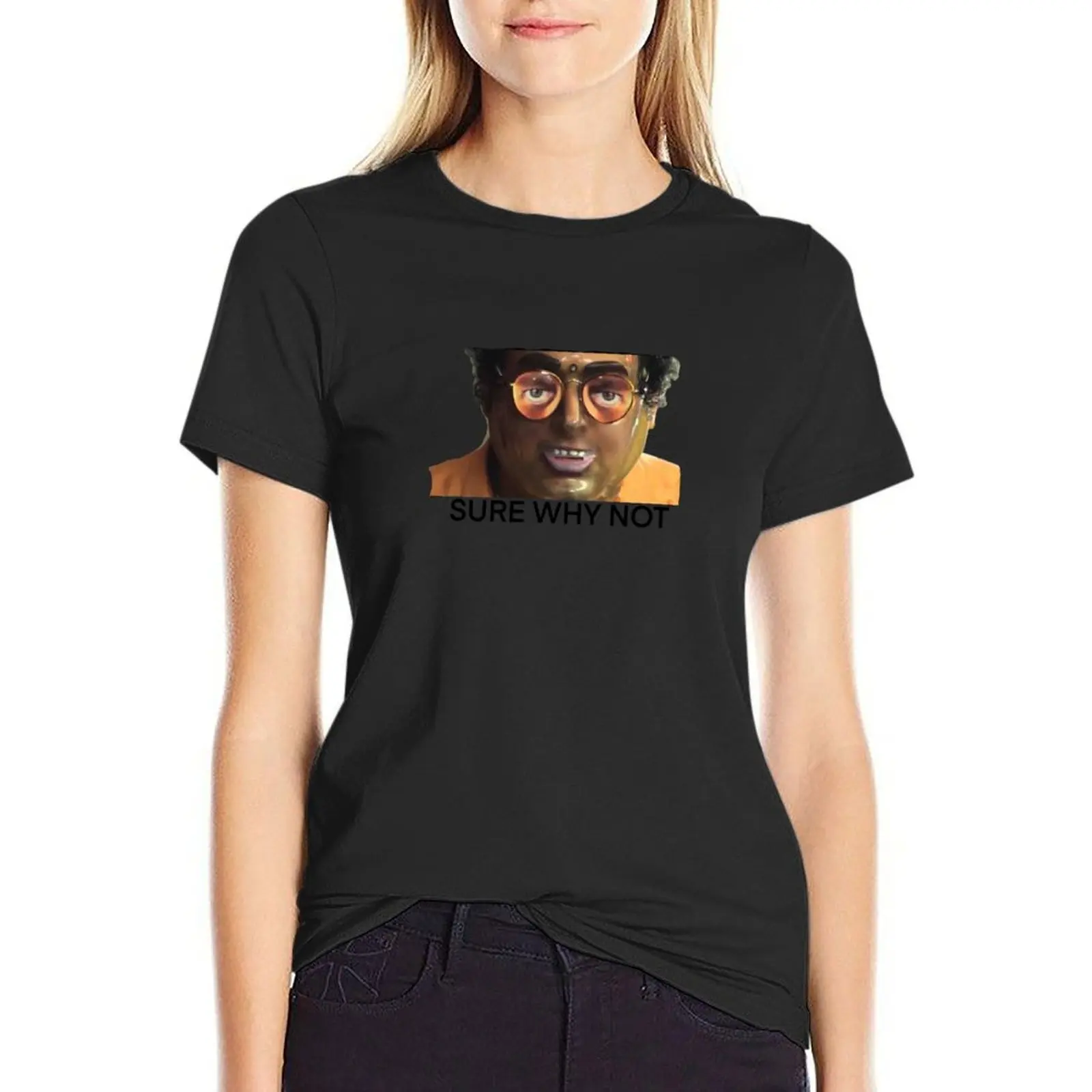 SURE WHY NOT T-Shirt summer tops cute tops quick drying shirts graphic tees cat shirts for Women
SURE WHY NOT T-Shirt summer tops cute tops quick drying shirts graphic tees cat shirts for Women