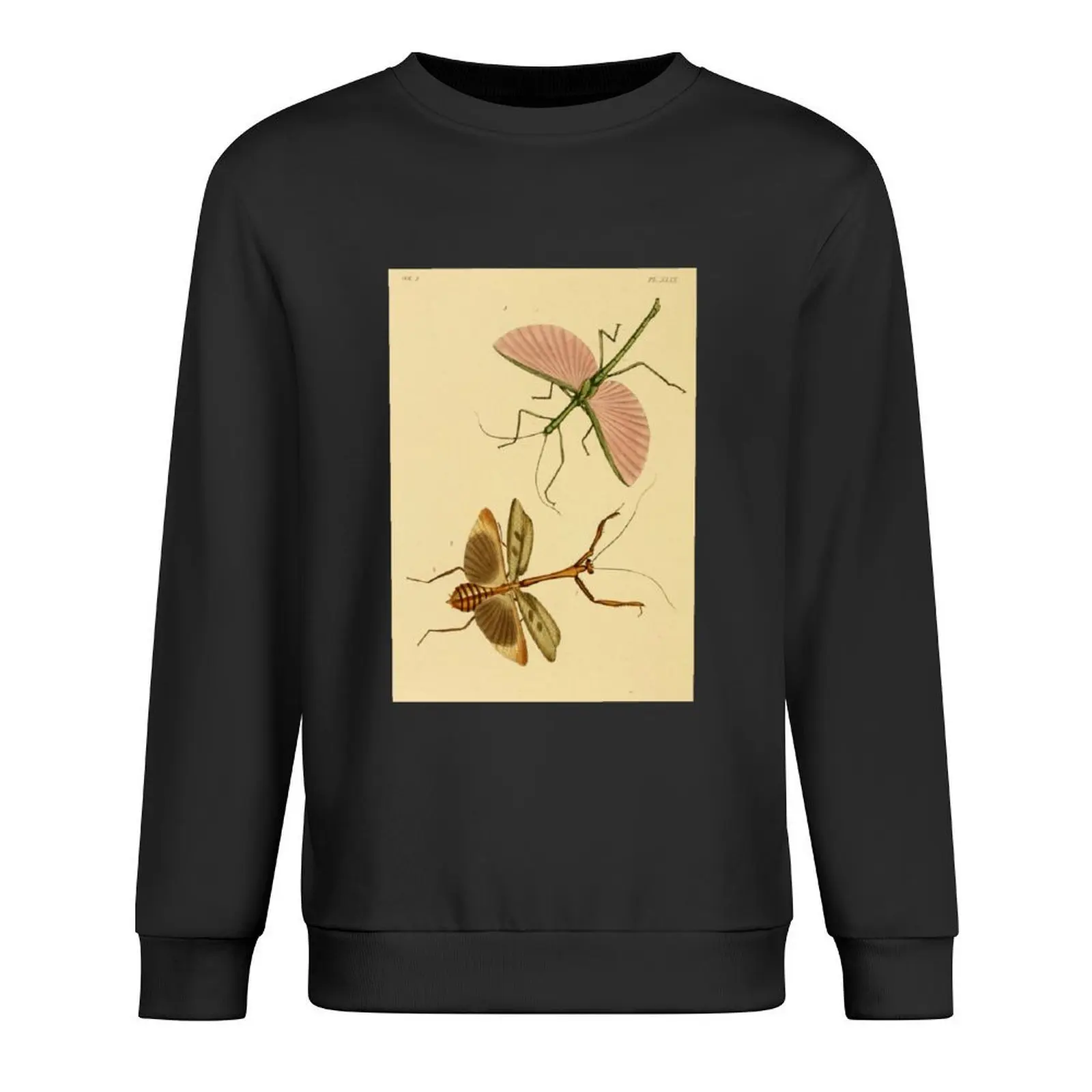 Naturalist Stick Insects Pullover mens clothes autumn clothes men's sweat-shirt set men's winter sweater new sweatshirts
Naturalist Stick Insects Pullover mens clothes autumn clothes men's sweat-shirt set men's winter sweater new sweatshirts