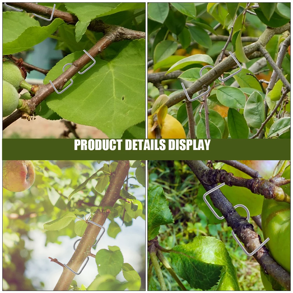 Tree Puller Shaper Silver Galvanized Wire Garden Bonsai Tools Branch Spreader Stem Trainer For Indoor Outdoor Plants Fruit Trees
Tree Puller Shaper Silver Galvanized Wire Garden Bonsai Tools Branch Spreader Stem Trainer For Indoor Outdoor Plants Fruit Trees