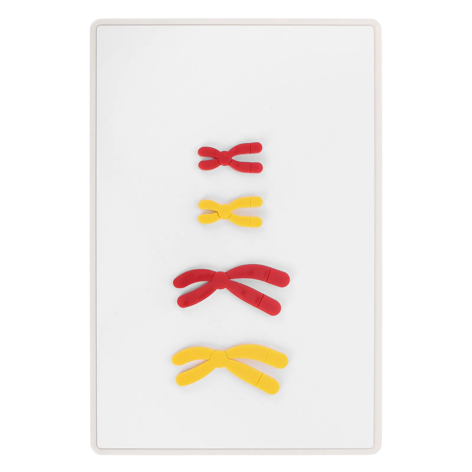 1Set Change Display Teaching Aid Magnetic Design for Biology Classroom Middle High School Biology Supply
1Set Change Display Teaching Aid Magnetic Design for Biology Classroom Middle High School Biology Supply