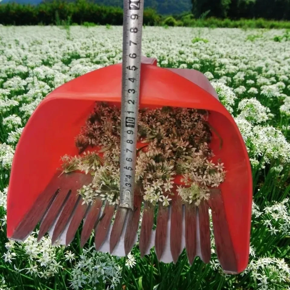Leek flower Metal Picking Tools, Harvesting Basket, Picker Portable Rake, Gardening Collector, Fruit Flower Collecting Harvester
Leek flower Metal Picking Tools, Harvesting Basket, Picker Portable Rake, Gardening Collector, Fruit Flower Collecting Harvester