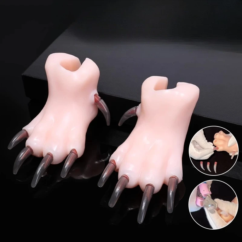Simulation dog paw teaching model Animal simulation nails for primary pet groomers to practice nail trimming
Simulation dog paw teaching model Animal simulation nails for primary pet groomers to practice nail trimming