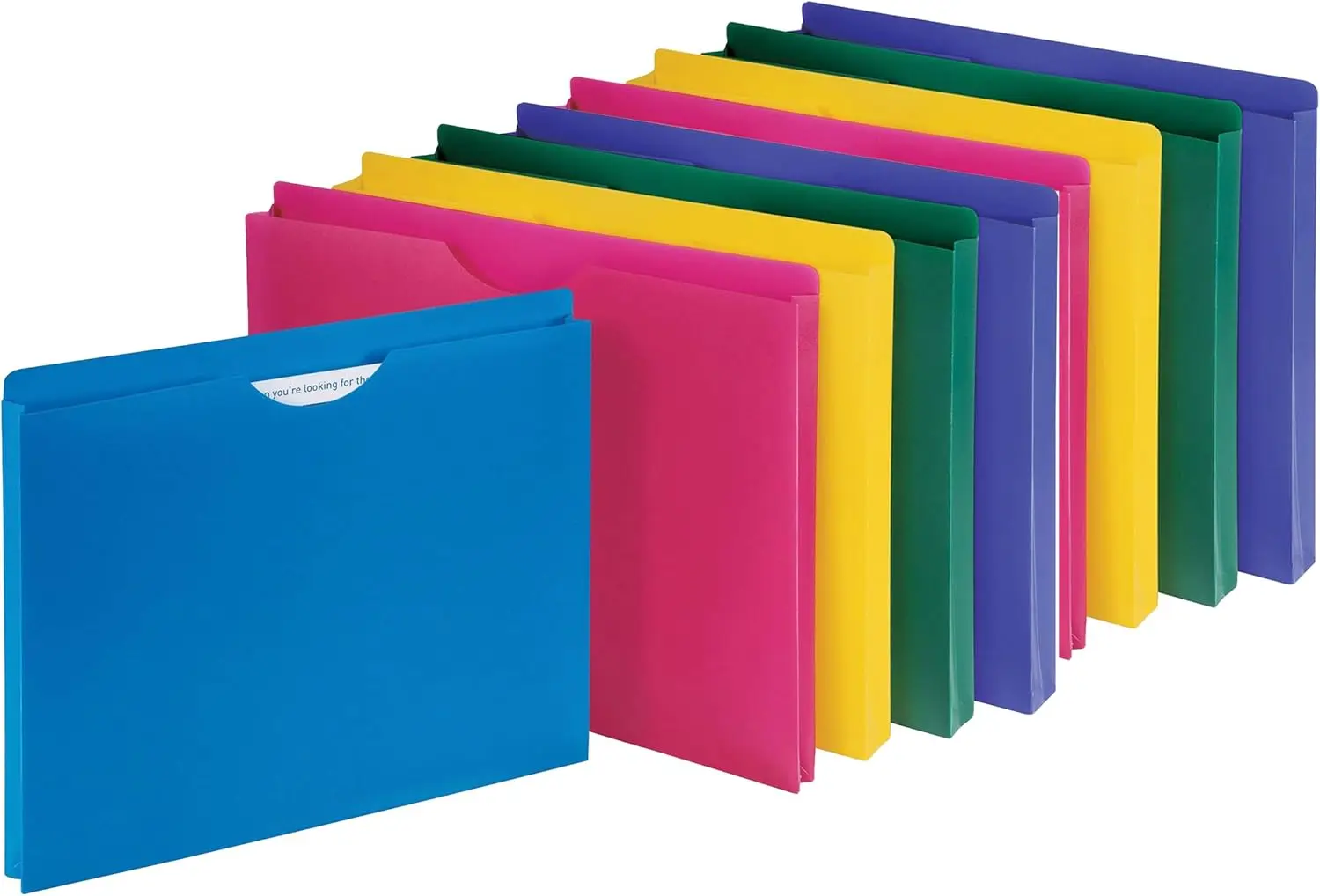 Poly File Jacket with 1" Expansion Pocket, Letter Size, Assorted Colors - 10 Pack
Poly File Jacket with 1" Expansion Pocket, Letter Size, Assorted Colors - 10 Pack