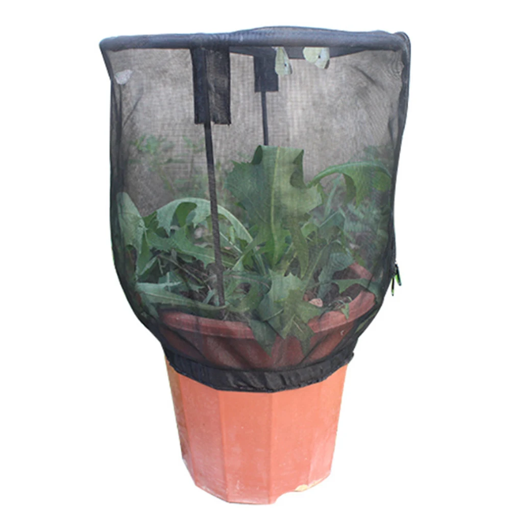 Cover Plant Sunshade For Kids Insect Feeding Net Butterfly Habitat Observation Garden Raising Flower Pot Self Standing Cage
Cover Plant Sunshade For Kids Insect Feeding Net Butterfly Habitat Observation Garden Raising Flower Pot Self Standing Cage