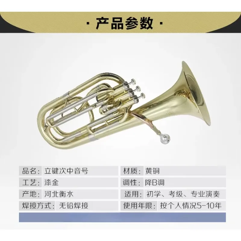 2025 Professional Bb Euphonium Premium Gold Lacquer Brass Instrument with Orchestral Grade Sound Projection
2025 Professional Bb Euphonium Premium Gold Lacquer Brass Instrument with Orchestral Grade Sound Projection