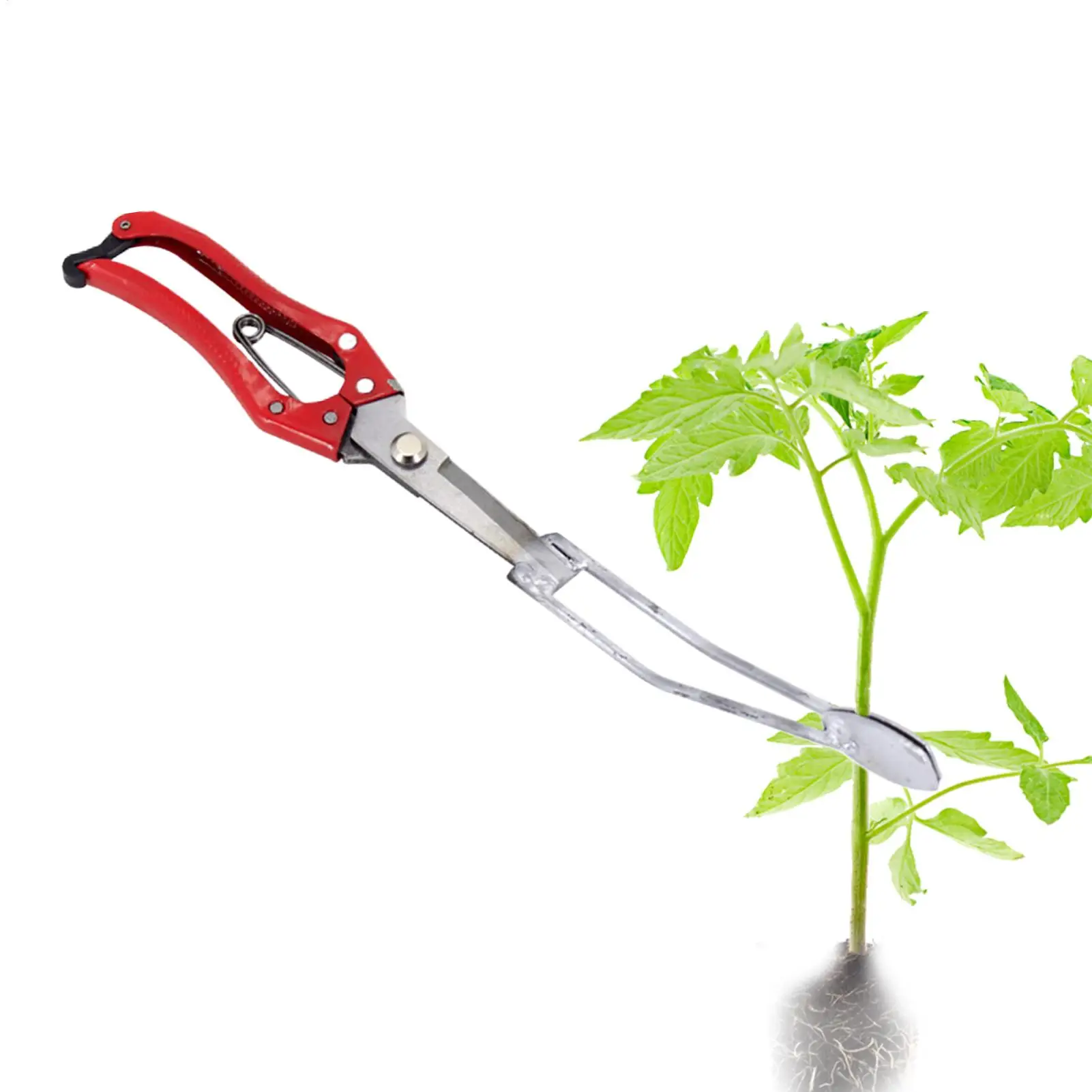 Seedling Planter Tool Comfortable Manual Handled Transplanting Tool Manual Seedling Planter for Corn Lawn Grass Gardening
Seedling Planter Tool Comfortable Manual Handled Transplanting Tool Manual Seedling Planter for Corn Lawn Grass Gardening