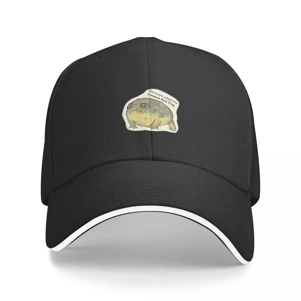New Common Rain Frog (Froggy Friends) Baseball Cap Male Snapback Cap Woman Cap Men's
New Common Rain Frog (Froggy Friends) Baseball Cap Male Snapback Cap Woman Cap Men's