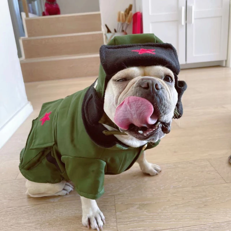 French Bulldog Clothing Thick and Warm Pet Clothes Winter Dog Coat Jacket Bichon Poodle Schnauzer Pug Dog Costume Hat Dropship
French Bulldog Clothing Thick and Warm Pet Clothes Winter Dog Coat Jacket Bichon Poodle Schnauzer Pug Dog Costume Hat Dropship