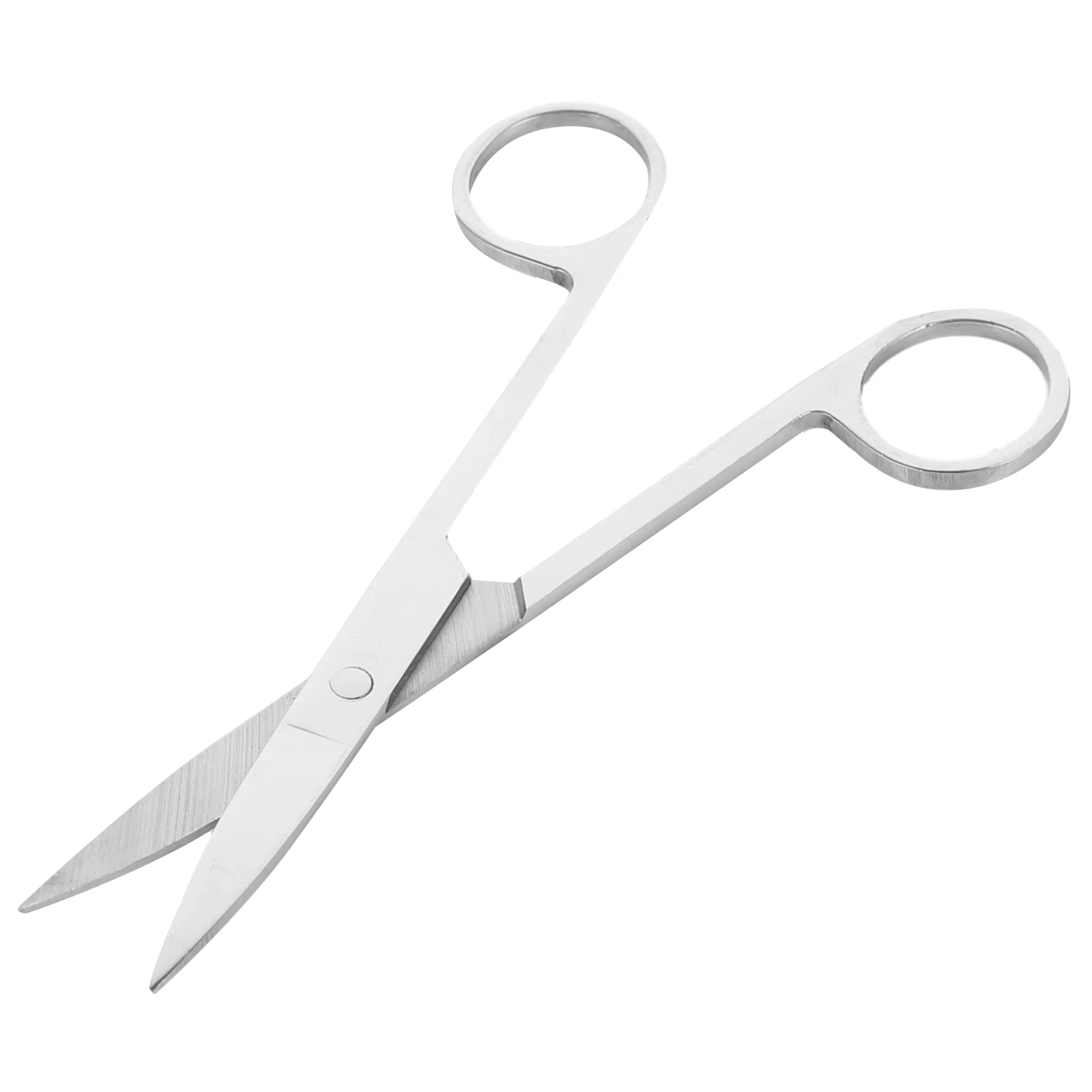 Dissecting Scissors Animal Experiment Laboratory Nickel Coated Surgical Tools Anatomy Student Teaching Equipment
Dissecting Scissors Animal Experiment Laboratory Nickel Coated Surgical Tools Anatomy Student Teaching Equipment