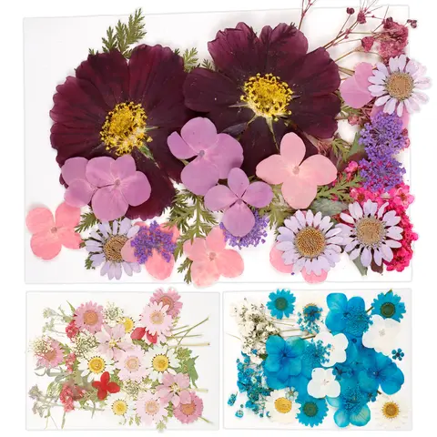 104Pcs Pressed Dried Flowers Set Real Natural Pressing Floral Leaves DIY Multipurpose Real Pressed Flowers Dry Leaves Kit