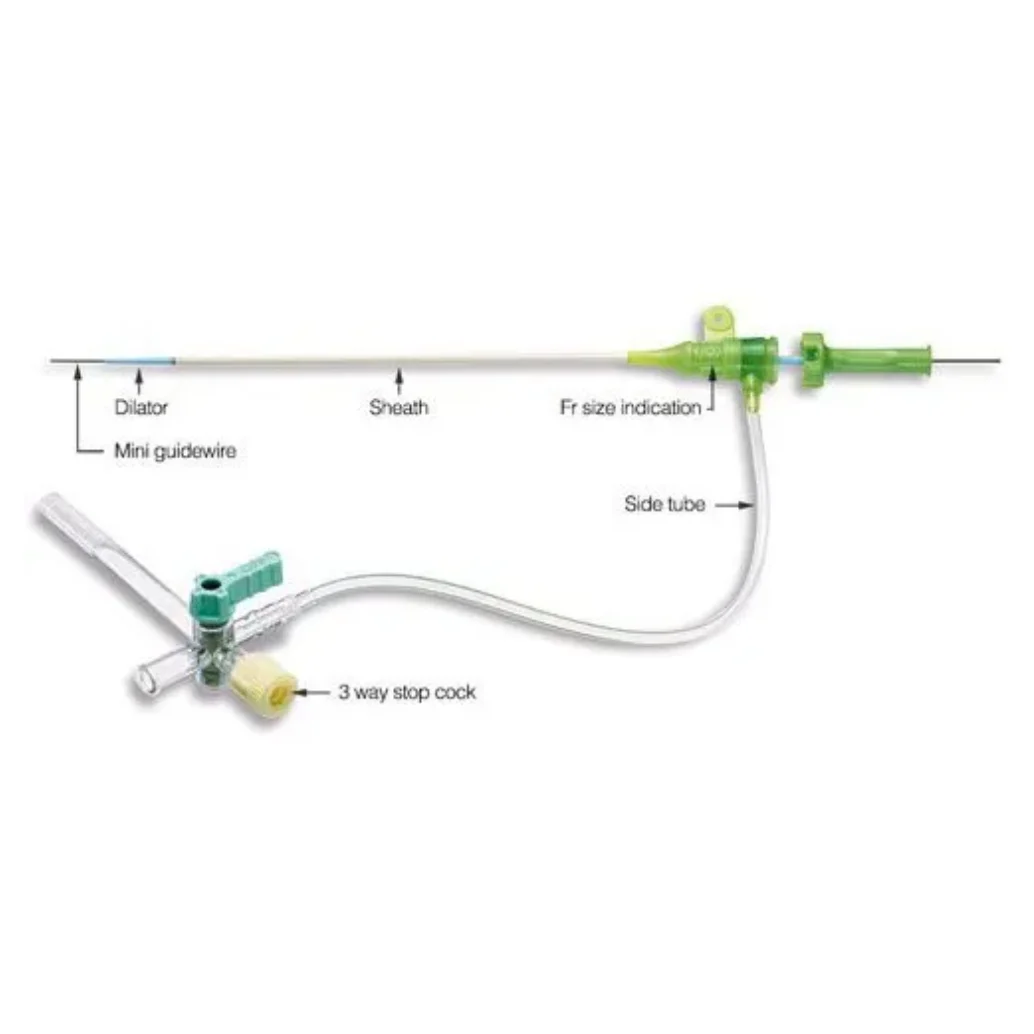 Access Sheath Vascular Sheaths For Femoral Or Radial Artery With French Sizes Radial Sheath For Cardiology Radial
Access Sheath Vascular Sheaths For Femoral Or Radial Artery With French Sizes Radial Sheath For Cardiology Radial