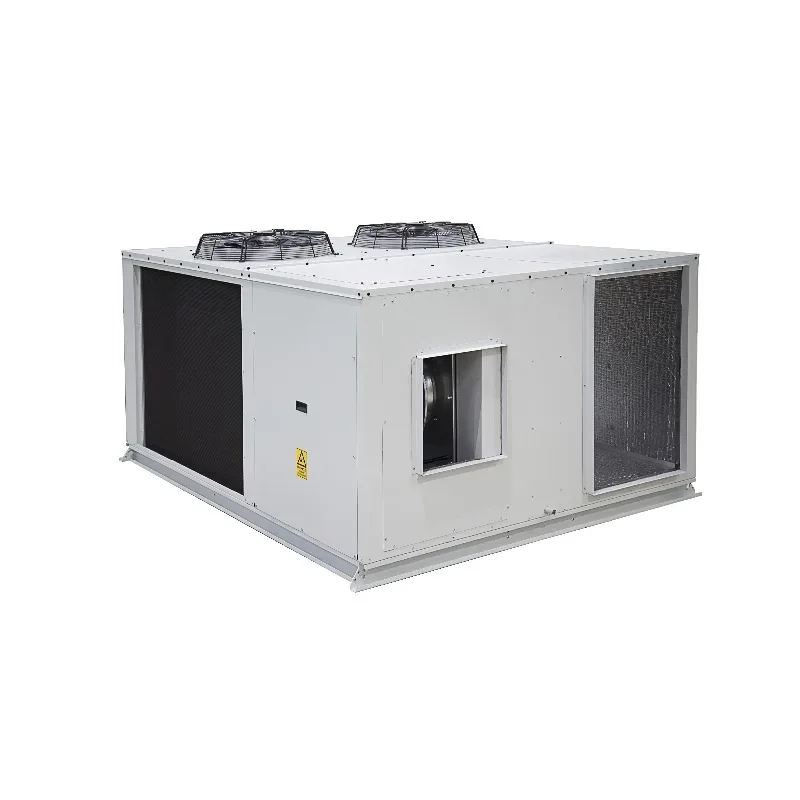 Carrier Commercial Use 3 Ton-30 Ton Heat Pump Rooftop Package Unit for Supermarket
Carrier Commercial Use 3 Ton-30 Ton Heat Pump Rooftop Package Unit for Supermarket