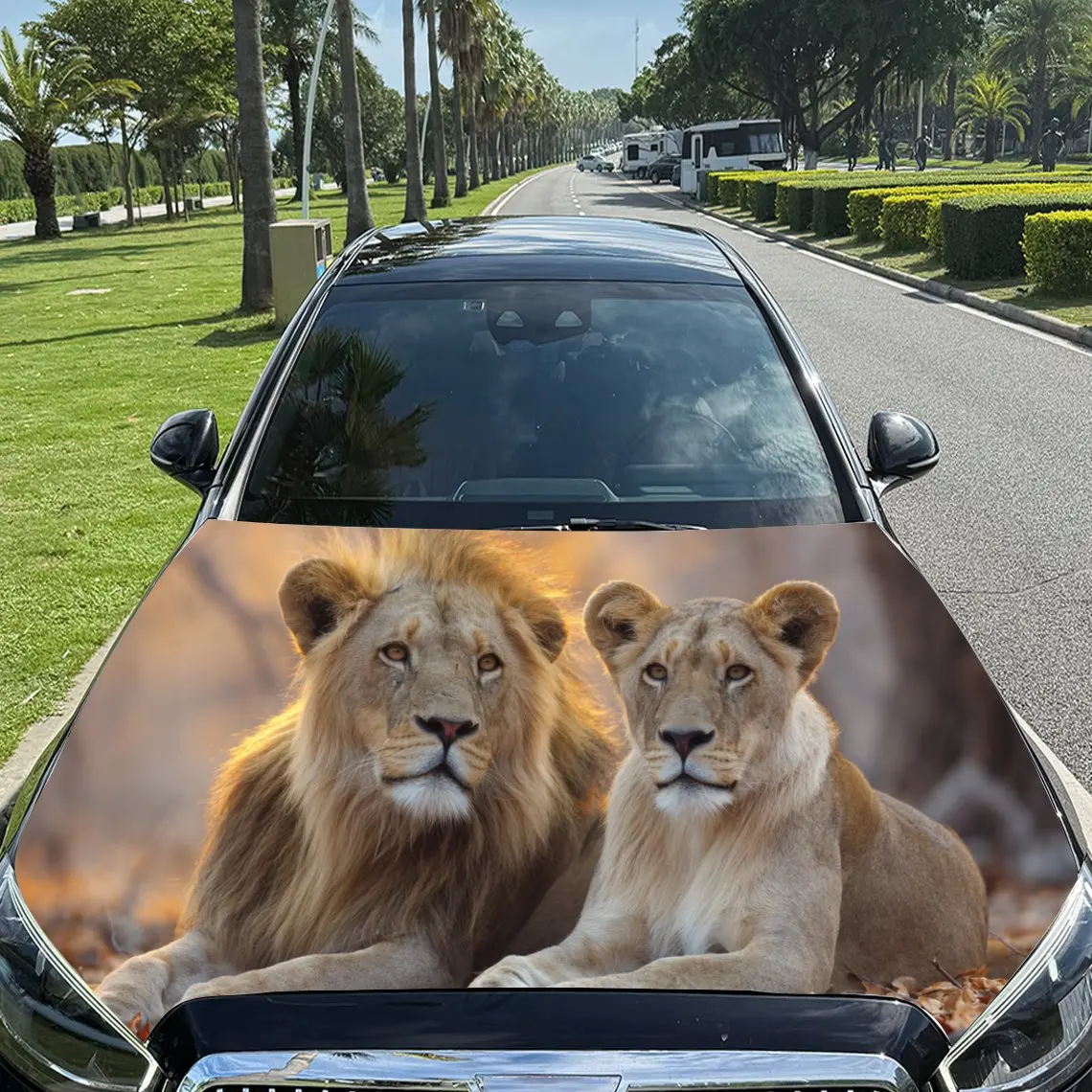 Romantic Lion Couple PVC Car Engine Hood Vinyl Wraps, Self-Adhesive Waterproof Car Hood Decal Sticker, Car Decoration Protection
Romantic Lion Couple PVC Car Engine Hood Vinyl Wraps, Self-Adhesive Waterproof Car Hood Decal Sticker, Car Decoration Protection