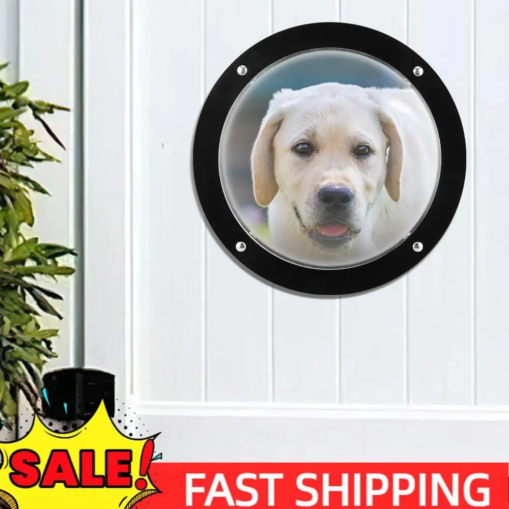 Акриловый купол, иллюминатор для собак, окно с пузырьками, окно для собаки, окно для собаки, кошки, кошки, снаружи, детской площадки, сада
Акриловый купол, иллюминатор для собак, окно с пузырьками, окно для собаки, окно для собаки, кошки, кошки, снаружи, детской площадки, сада