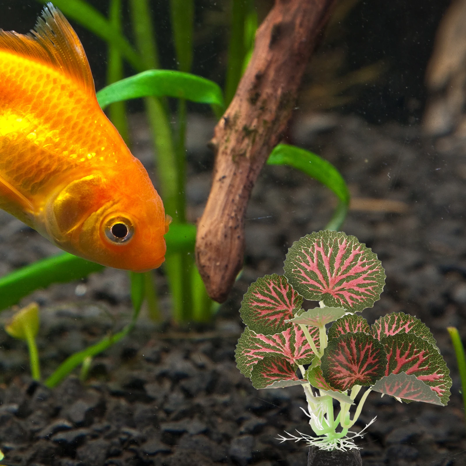 Artificial Plant Decoration Plants Plastic Aquarium Decorations Fish Tank Vivid Scene Round Leaf Medium Aquatic
Artificial Plant Decoration Plants Plastic Aquarium Decorations Fish Tank Vivid Scene Round Leaf Medium Aquatic