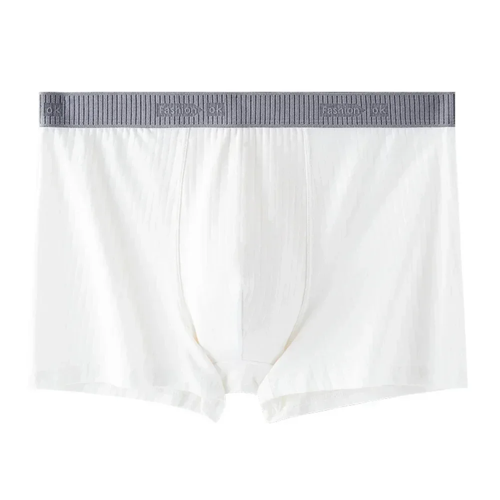 For Home Use MultiColor Boxer Breathable Underwear Casual Home Use Black Boxer Suitable For Home All Seasons Wear
For Home Use MultiColor Boxer Breathable Underwear Casual Home Use Black Boxer Suitable For Home All Seasons Wear