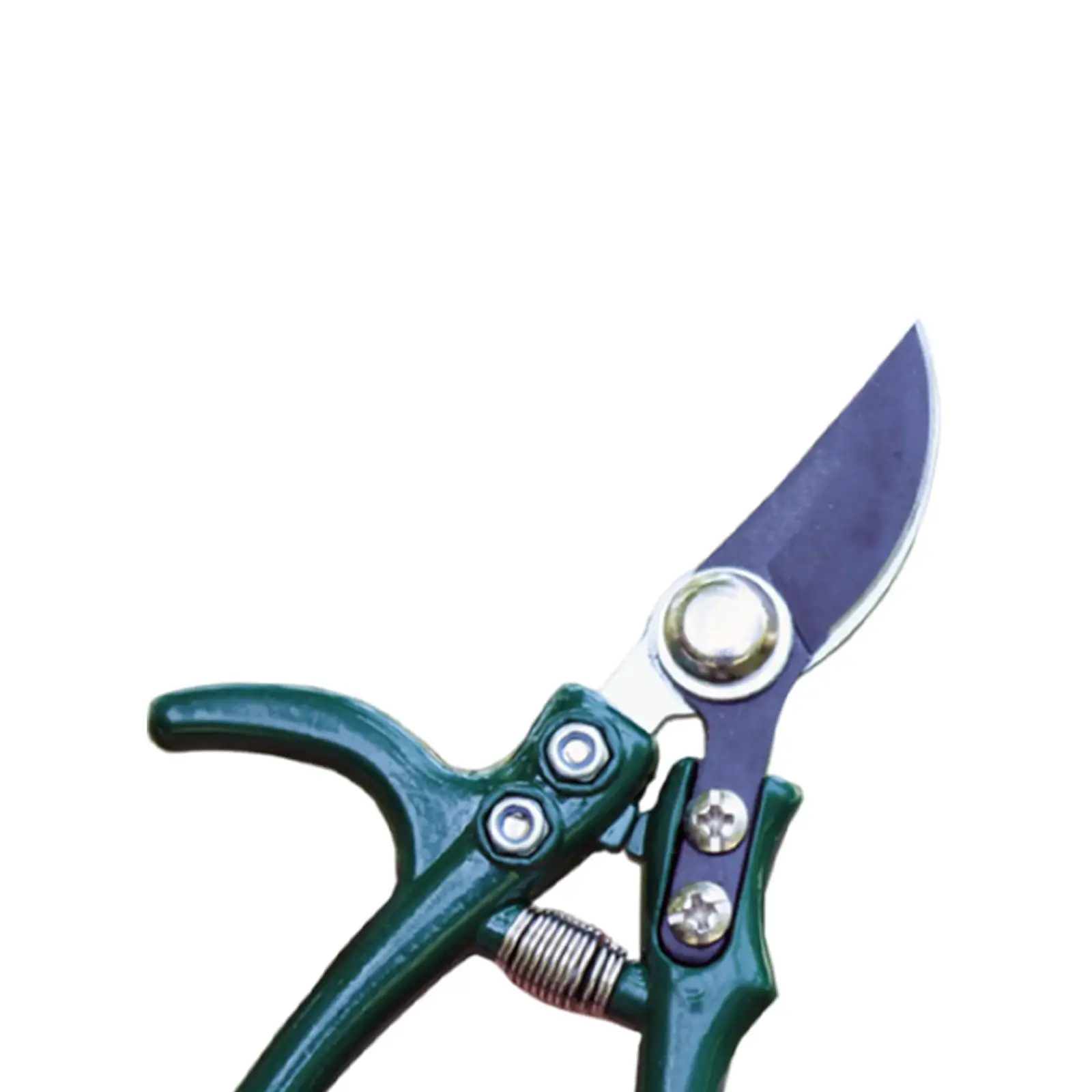 Garden Shear for Indoor House Plants Precise Cuts Aluminum Alloy Handle Garden Scissors Multifunctional Pruners Bonsai Clippers
Garden Shear for Indoor House Plants Precise Cuts Aluminum Alloy Handle Garden Scissors Multifunctional Pruners Bonsai Clippers