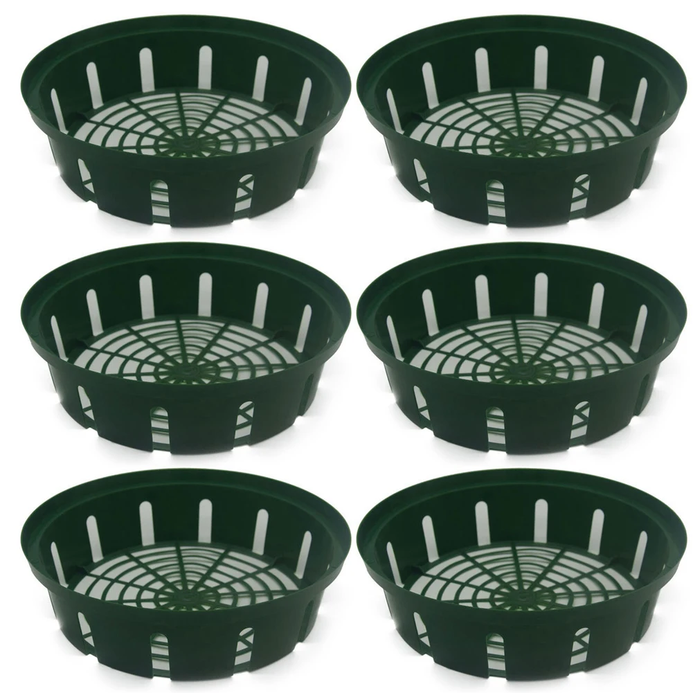 26*22*6.5cm Flower Bulb Basket Flower Bulb Planting Basket Plant Plastic Gardening Basket Ample Size Minimalist Aesthetic
26*22*6.5cm Flower Bulb Basket Flower Bulb Planting Basket Plant Plastic Gardening Basket Ample Size Minimalist Aesthetic