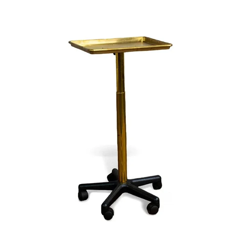 hairdresser professional hair tool storaging stainless steel appliance holder salon tray trolley
hairdresser professional hair tool storaging stainless steel appliance holder salon tray trolley