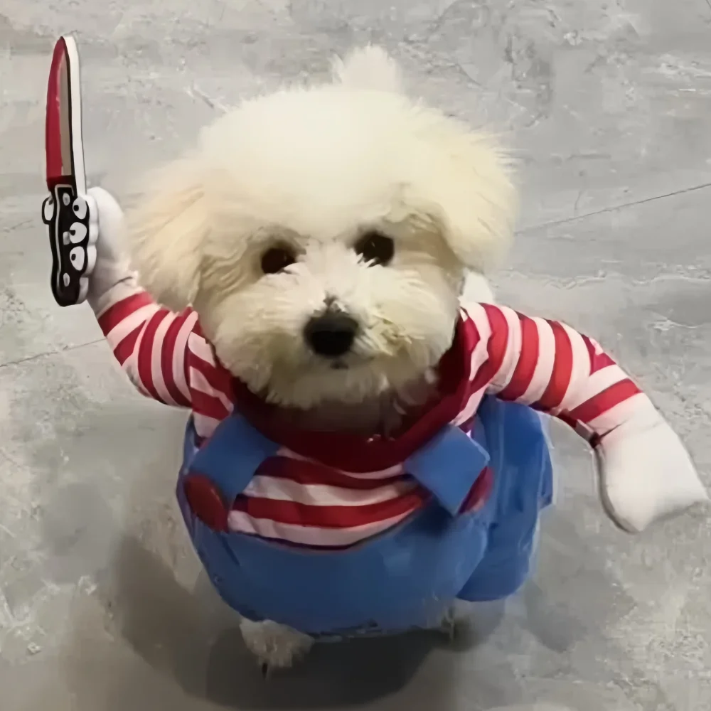 Halloween Funny Dog Clothes Small Medium Large Dogs Cat Cosplay Pets Dress Up Puppy Pullover Chihuahua Costume Party Pet Outfits
Halloween Funny Dog Clothes Small Medium Large Dogs Cat Cosplay Pets Dress Up Puppy Pullover Chihuahua Costume Party Pet Outfits