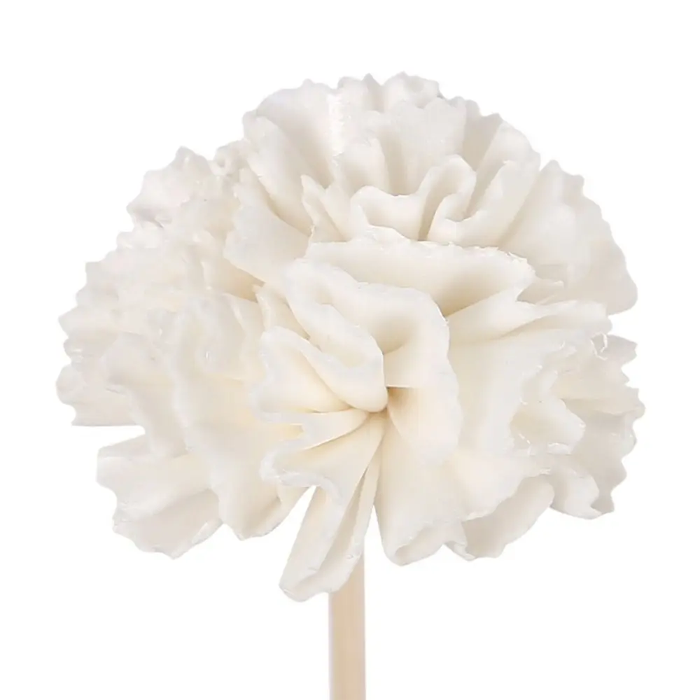 Durable Creative Natural Volatile For Aromatherapy Living Room Dried Flowers Diffuser Sticks Tongcao Flower Aromatic Incense
Durable Creative Natural Volatile For Aromatherapy Living Room Dried Flowers Diffuser Sticks Tongcao Flower Aromatic Incense