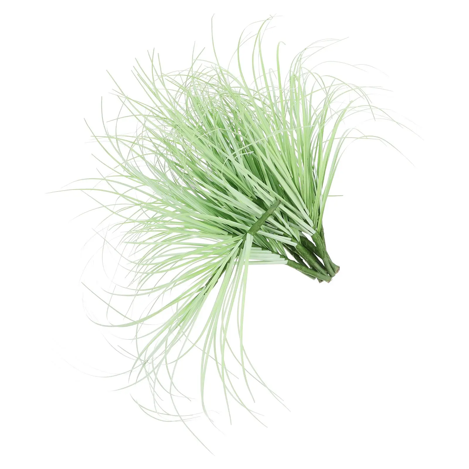 12 Pcs Artificial Plants Realistic Green Stems Faux Tall Grass Outdoor Decor PlasticWedding Bouquet Cattails Floral
12 Pcs Artificial Plants Realistic Green Stems Faux Tall Grass Outdoor Decor PlasticWedding Bouquet Cattails Floral