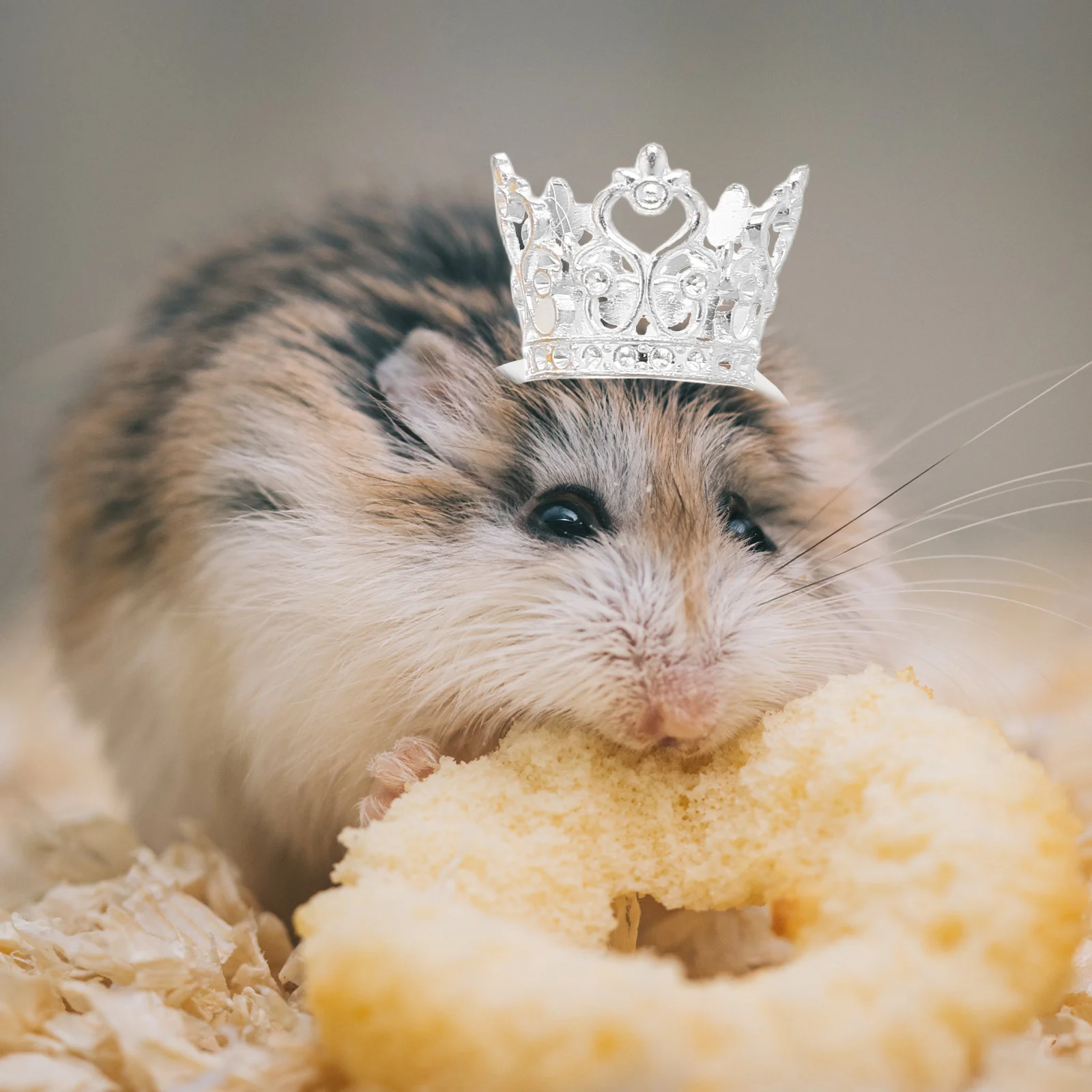 2pcs Mini For Hamster Small Animals Adjustable Elastic Strap Pet Party Costume Hat Animal Costume Accessories Photo Prop
2pcs Mini For Hamster Small Animals Adjustable Elastic Strap Pet Party Costume Hat Animal Costume Accessories Photo Prop