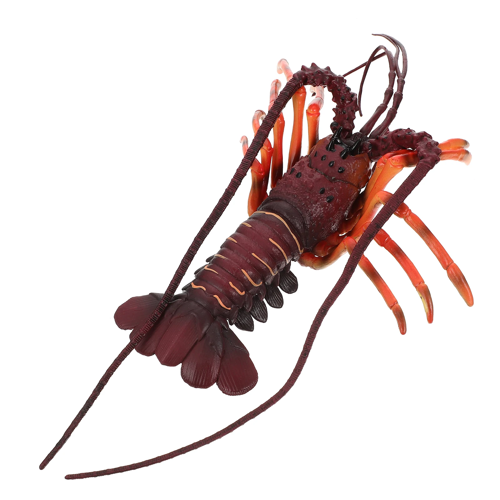 Simulation Lobster Ornaments Realistic Figurine Toys Plastic Kids Educational Toy Special Texture Vivid Design Safe Use
Simulation Lobster Ornaments Realistic Figurine Toys Plastic Kids Educational Toy Special Texture Vivid Design Safe Use