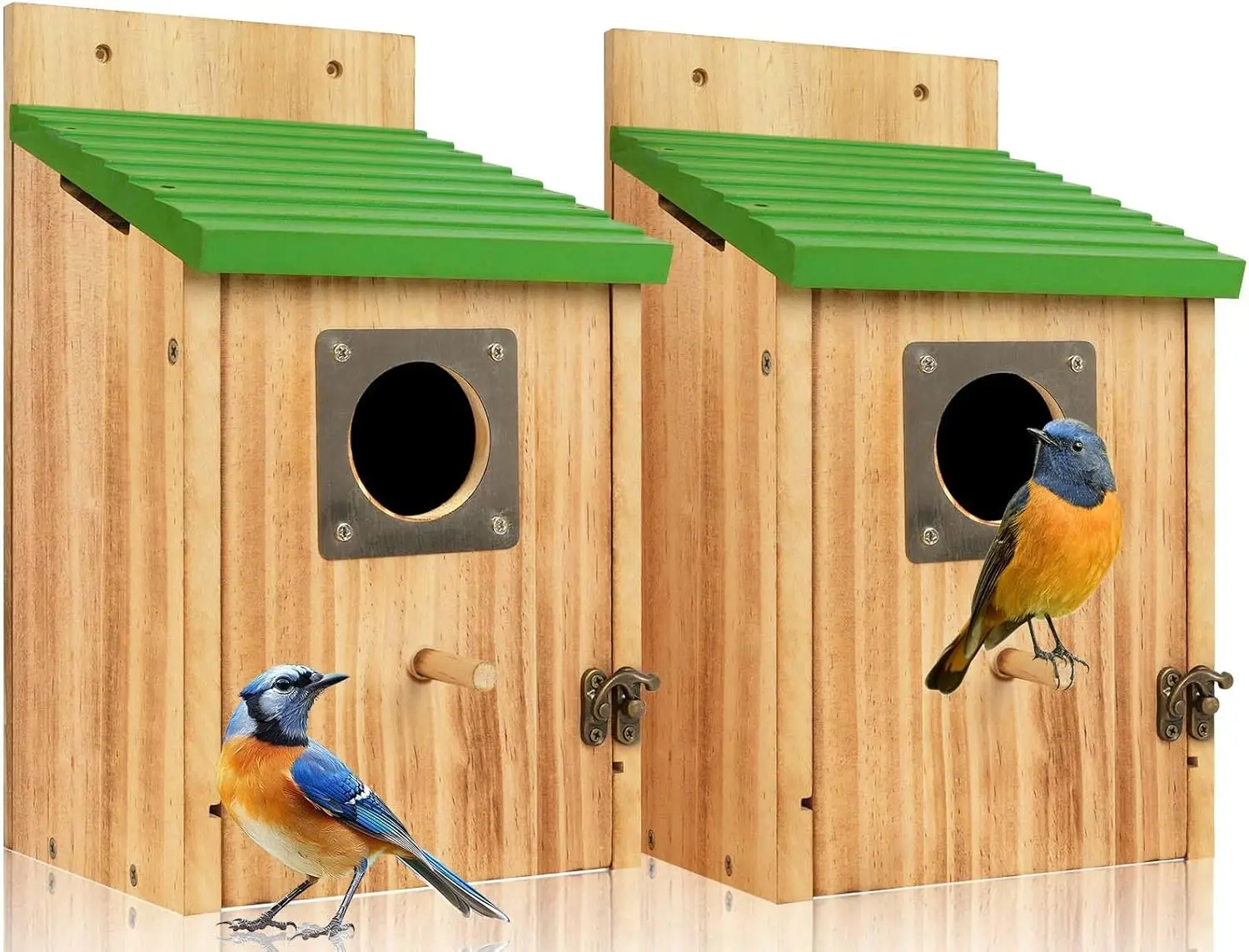 2 Pack Cedar Bird Houses with Metal Predator Guard for Bluebirds, Wrens, Finches - Weather-Resistant Outdoor Nesting Boxes
2 Pack Cedar Bird Houses with Metal Predator Guard for Bluebirds, Wrens, Finches - Weather-Resistant Outdoor Nesting Boxes
