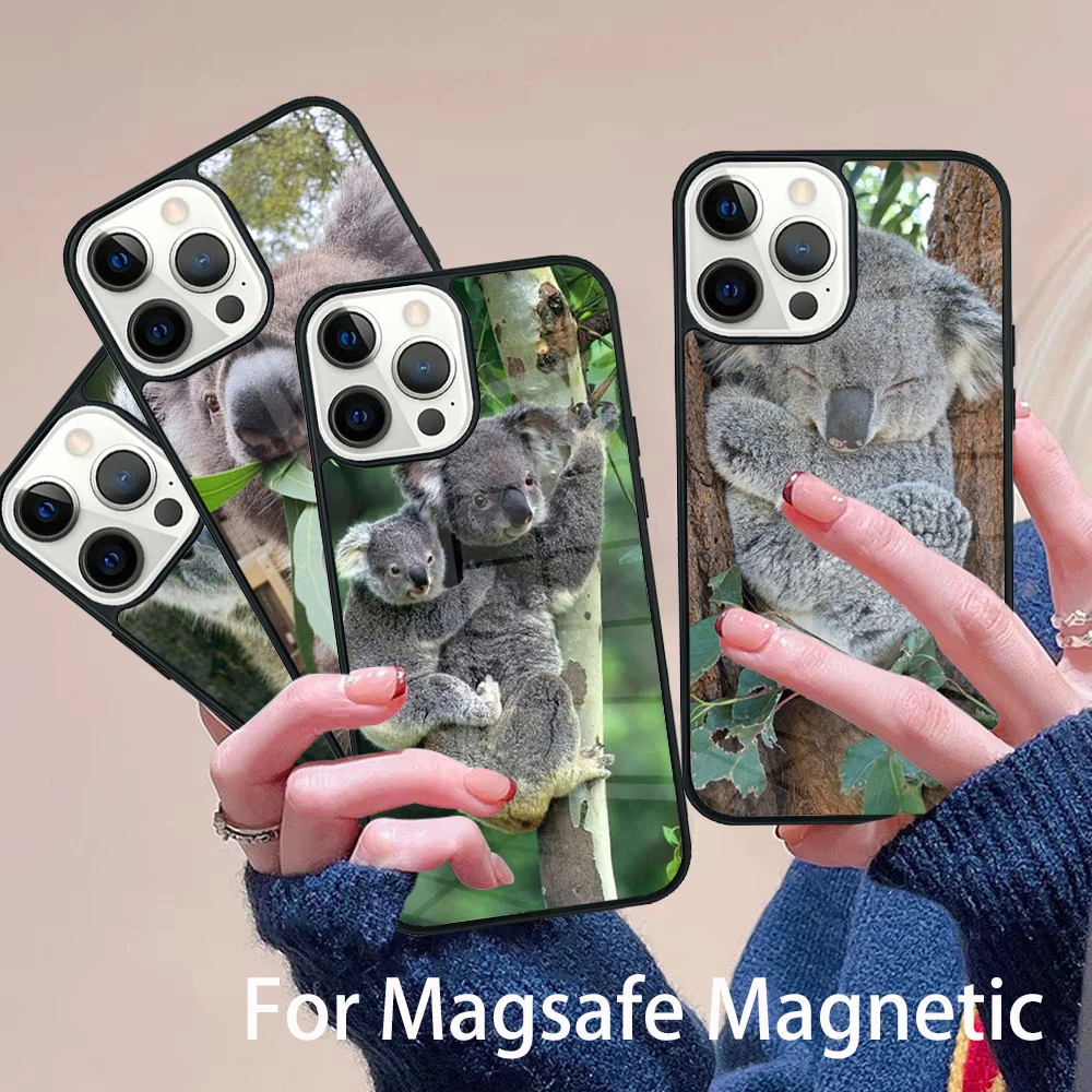Koala Phone Case Magesafe Magnetic Wireless Charge Cover For IPhone 16 11 12 13 14 15 Pro Max Plus Mini
Koala Phone Case Magesafe Magnetic Wireless Charge Cover For IPhone 16 11 12 13 14 15 Pro Max Plus Mini