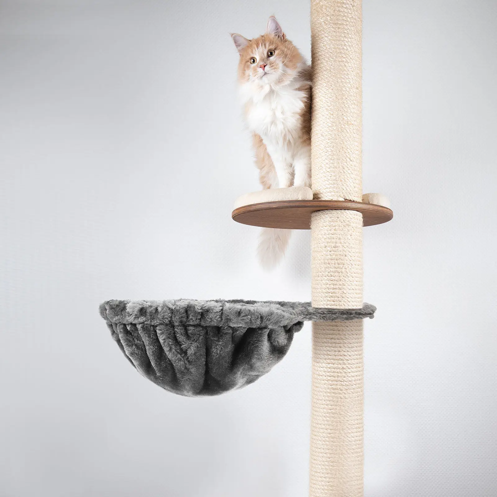 Очень большой сменный глубокий мягкий теплый тканевый подвесной гамак-лежанка для кошек, аксессуар для кошачьей башни, регулируемый, для крупных кошек
Очень большой сменный глубокий мягкий теплый тканевый подвесной гамак-лежанка для кошек, аксессуар для кошачьей башни, регулируемый, для крупных кошек