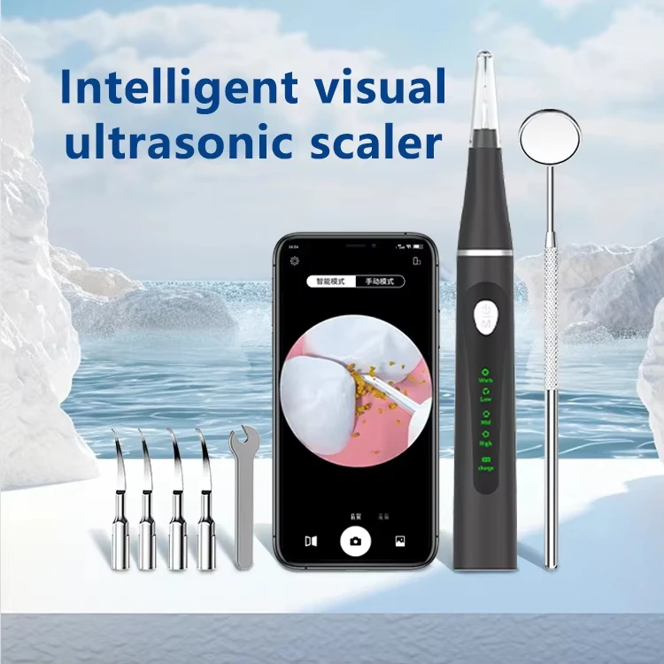 High Demand Products Teeth Whitening Kit Stain Removers Dental Plaque Remover Other Medical Consumables Electric Rechargeable
High Demand Products Teeth Whitening Kit Stain Removers Dental Plaque Remover Other Medical Consumables Electric Rechargeable