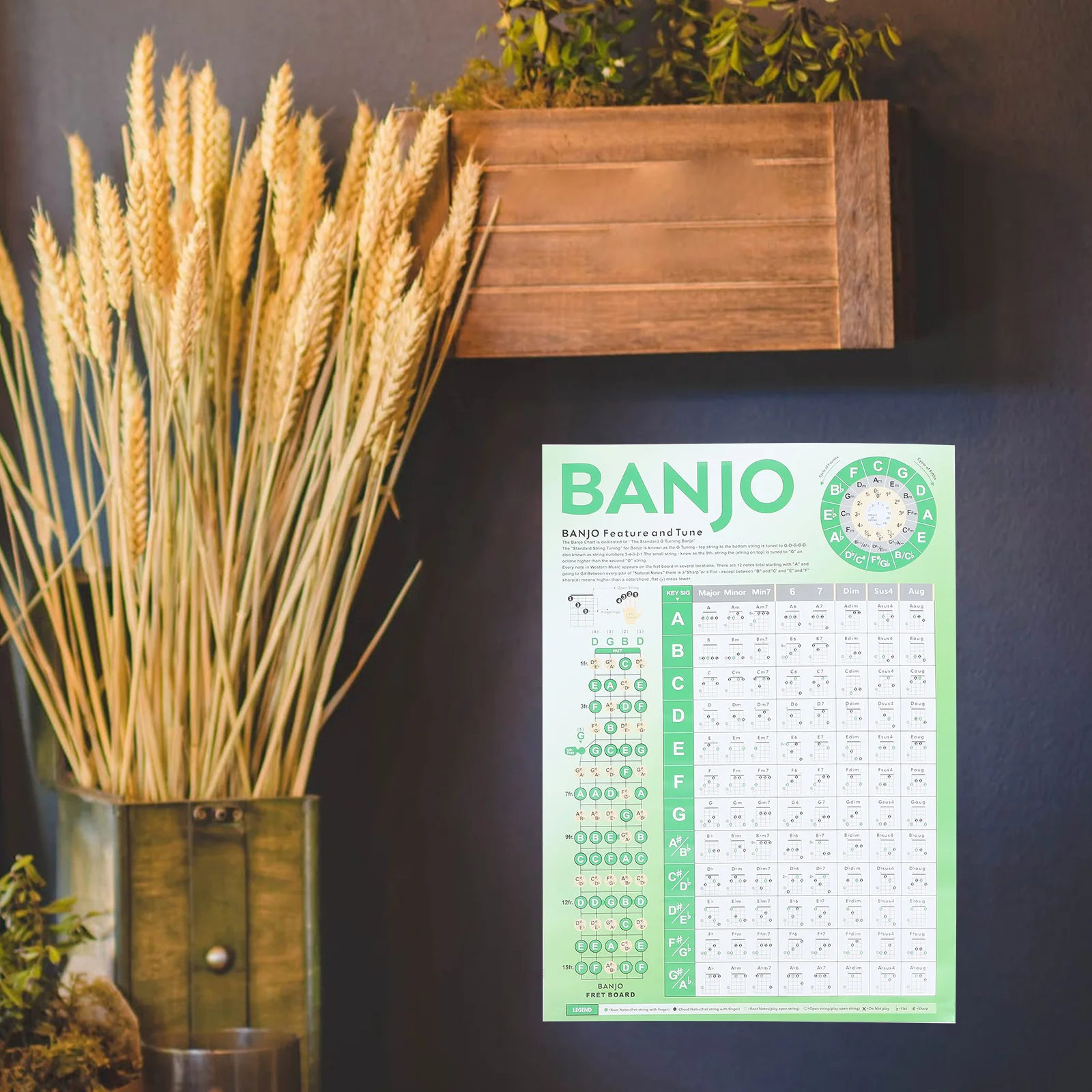 Banjo Fingering Chart Learning Chord Poster Beginner for Portable Coated Paper Beginners
Banjo Fingering Chart Learning Chord Poster Beginner for Portable Coated Paper Beginners