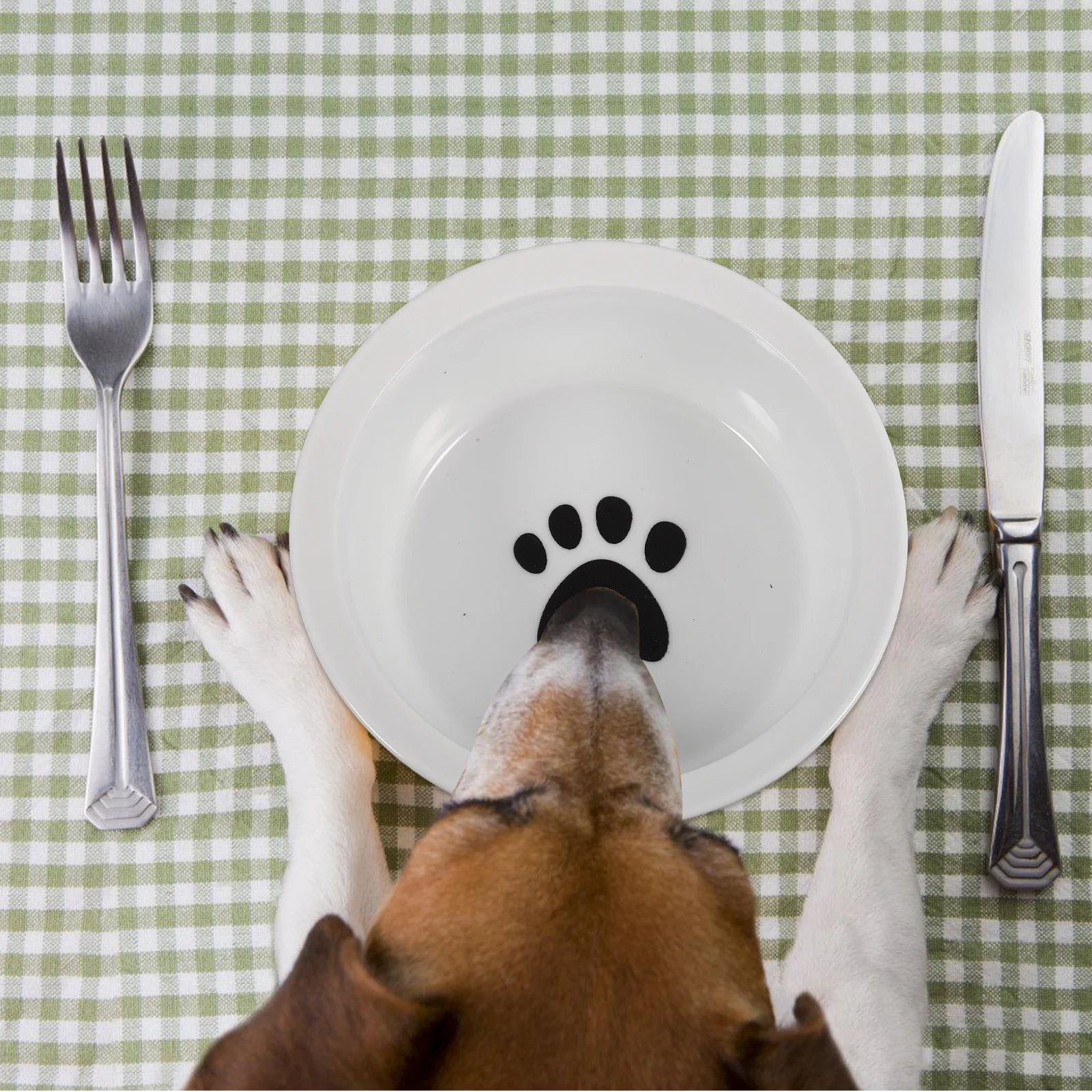 Pet Ceramic Bowl with Wide Base Stable Dog Cat Feeder Moderate Capacity for Home Or Gift Use Puppy Feeding Bowl Dish
Pet Ceramic Bowl with Wide Base Stable Dog Cat Feeder Moderate Capacity for Home Or Gift Use Puppy Feeding Bowl Dish