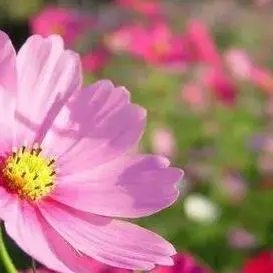 13S4P lithium battery 48V 15AH 18650 750W battery For various electronic devices and transportation equipment
13S4P lithium battery 48V 15AH 18650 750W battery For various electronic devices and transportation equipment