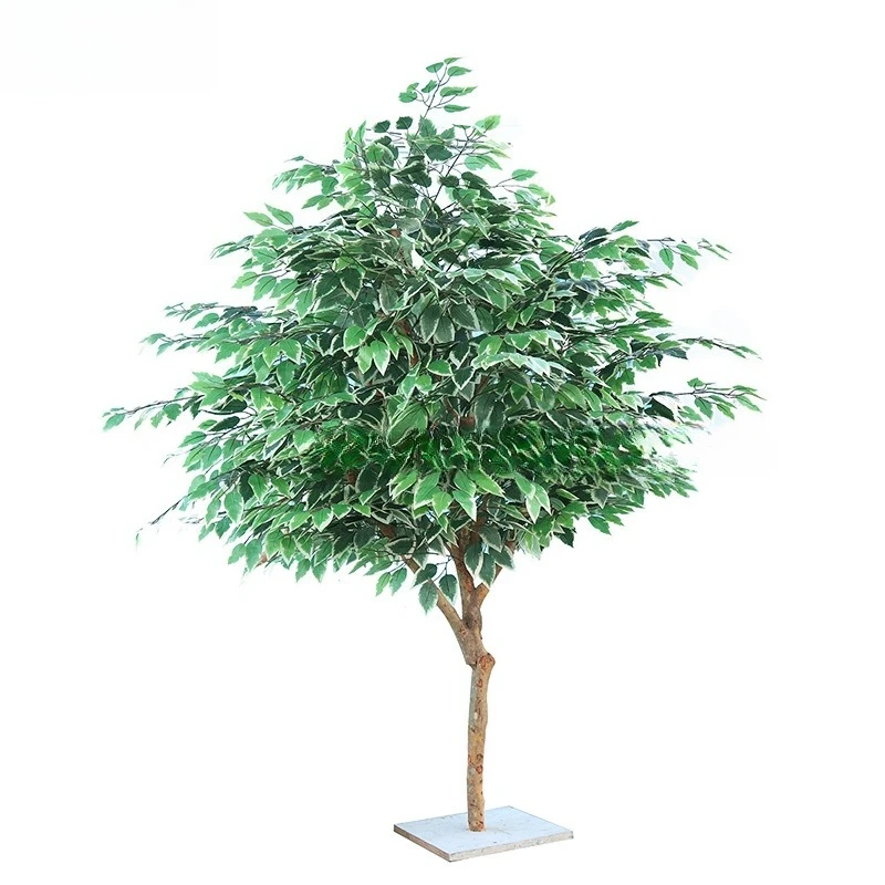 Simulation Banyan Tree Indoor Shopping Mall Hotel Floor Props Artificial Decoration Set
Simulation Banyan Tree Indoor Shopping Mall Hotel Floor Props Artificial Decoration Set
