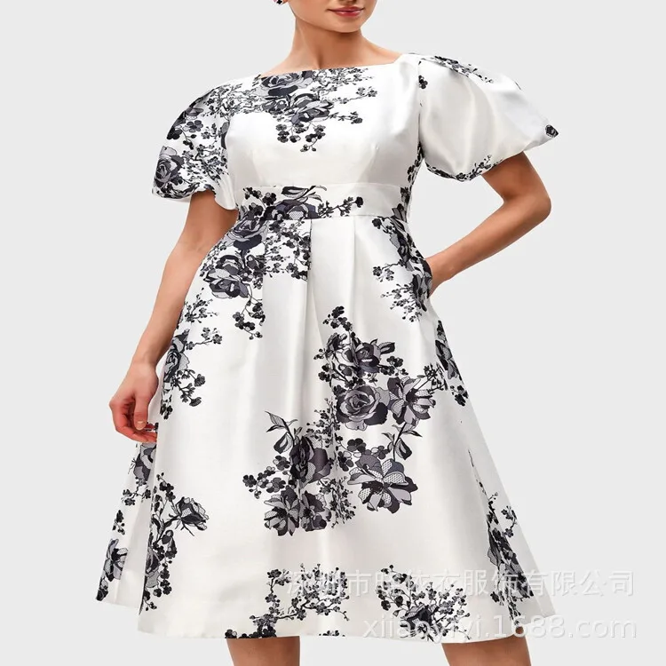 Summer High Waist Style office lady Pullover A-line White Printed Short Sleeve Poetry Long Dress
Summer High Waist Style office lady Pullover A-line White Printed Short Sleeve Poetry Long Dress