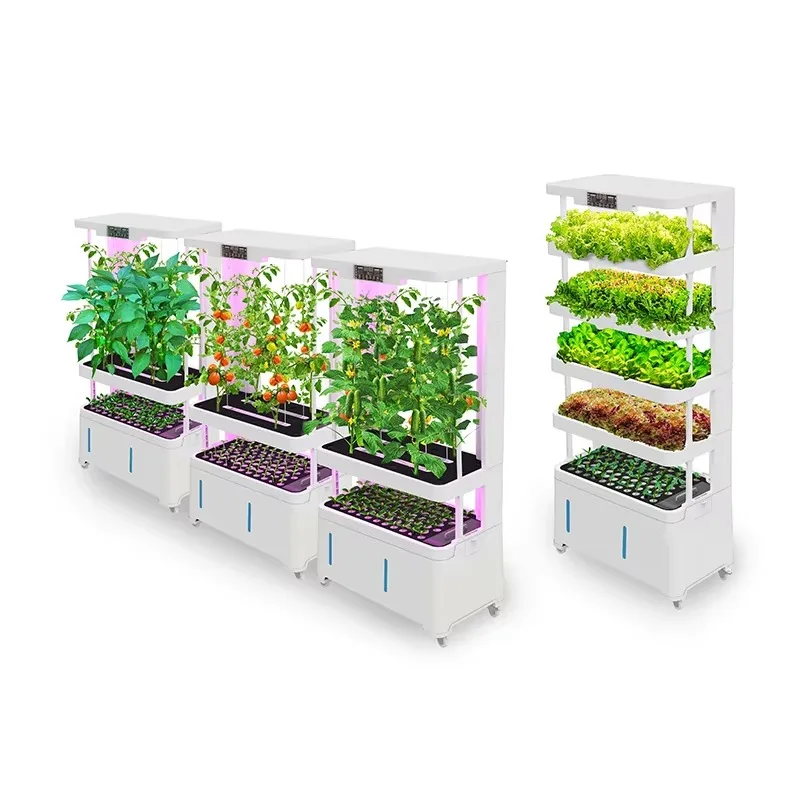 Multi-Function Remote Control New Hydroponic Growth System Energy Saving Hydroponic Equipment
Multi-Function Remote Control New Hydroponic Growth System Energy Saving Hydroponic Equipment